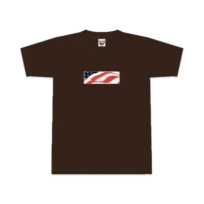Supreme Patriot Box Logo Tee "Brown"
