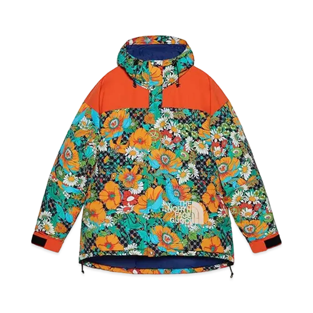 Gucci x The North Face 96 MOUNTAIN GUIDE DOWN JACKET "Multi"