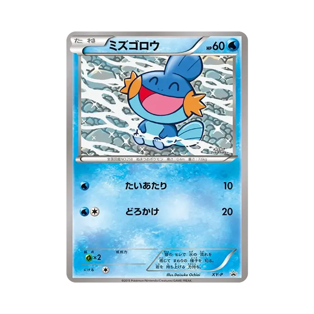 ミズゴロウ P [XY-P](プロモーションカード「ポケモンアートアカデミー