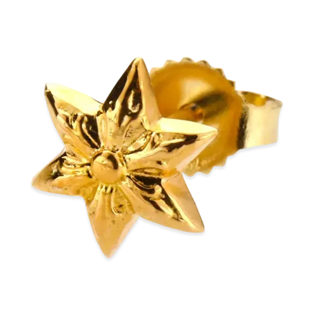 Chrome Hearts 22K Cut Out Star Stud Earrings "Gold"