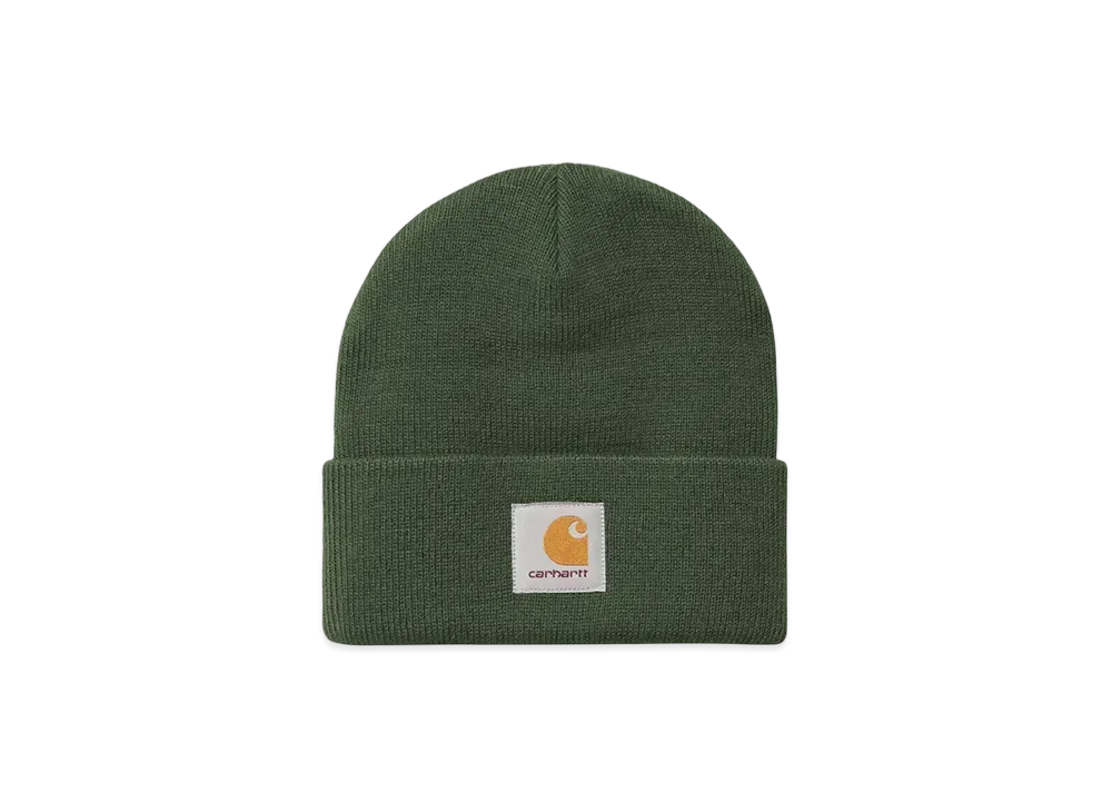 Carhartt WIP Short Watch Hat "Sycamore Tree"