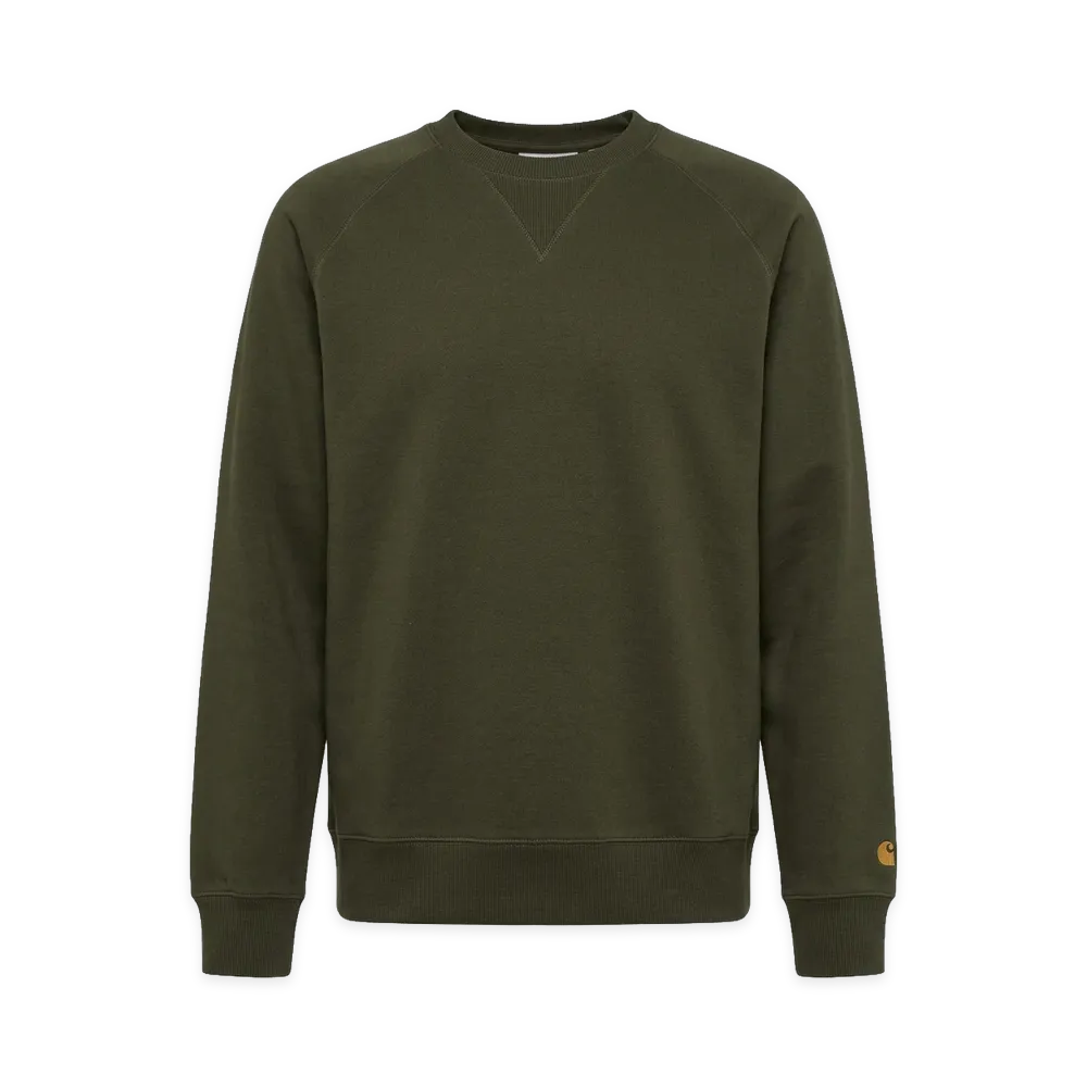 Carhartt WIP Sweatshirt "Green"