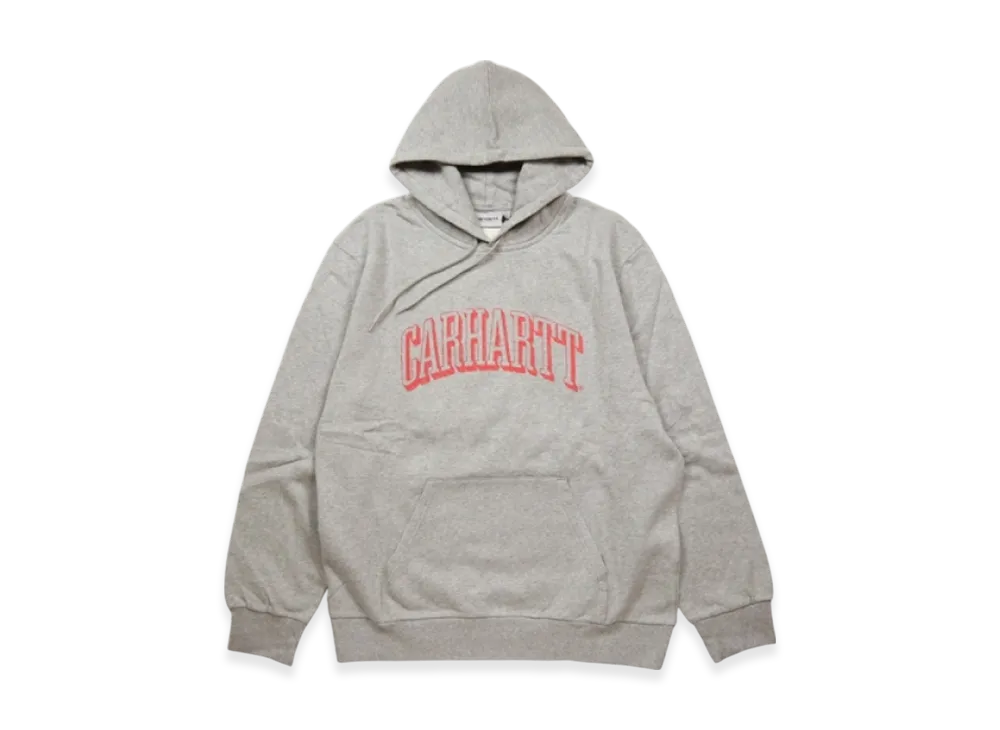 Carhartt WIP Hooded Scrawl Sweatshirt "Grey"