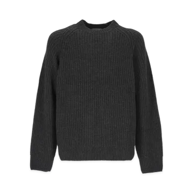 Carhartt WIP Sweaters "Gray"
