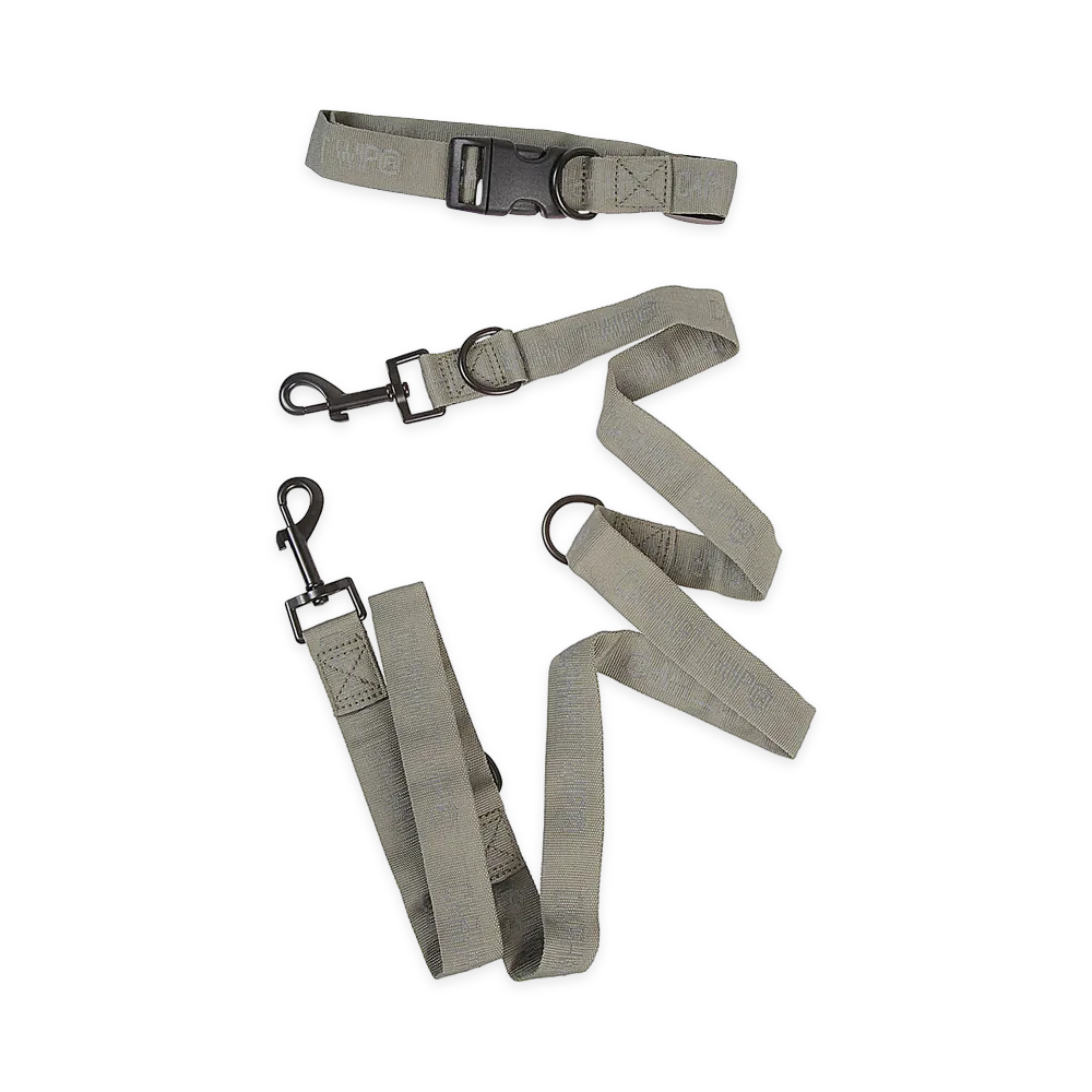 Carhartt WIP Main Accessories "Green"
