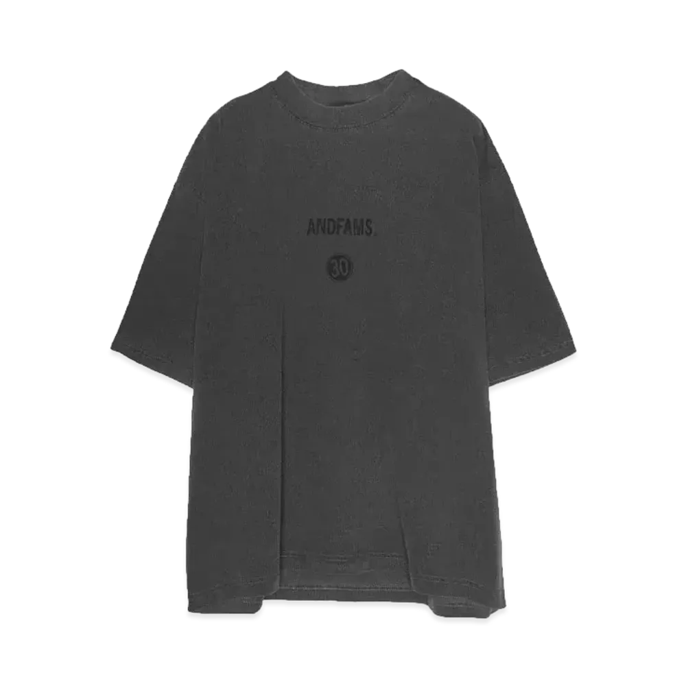 ANDFAMILYS Pigment Dye Tee -Anniv 30- "SHADOW"