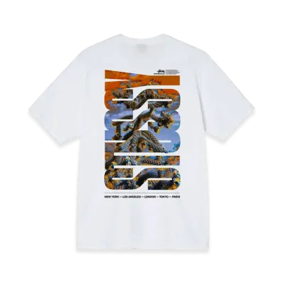 Stussy Desert Sky Tee "White"