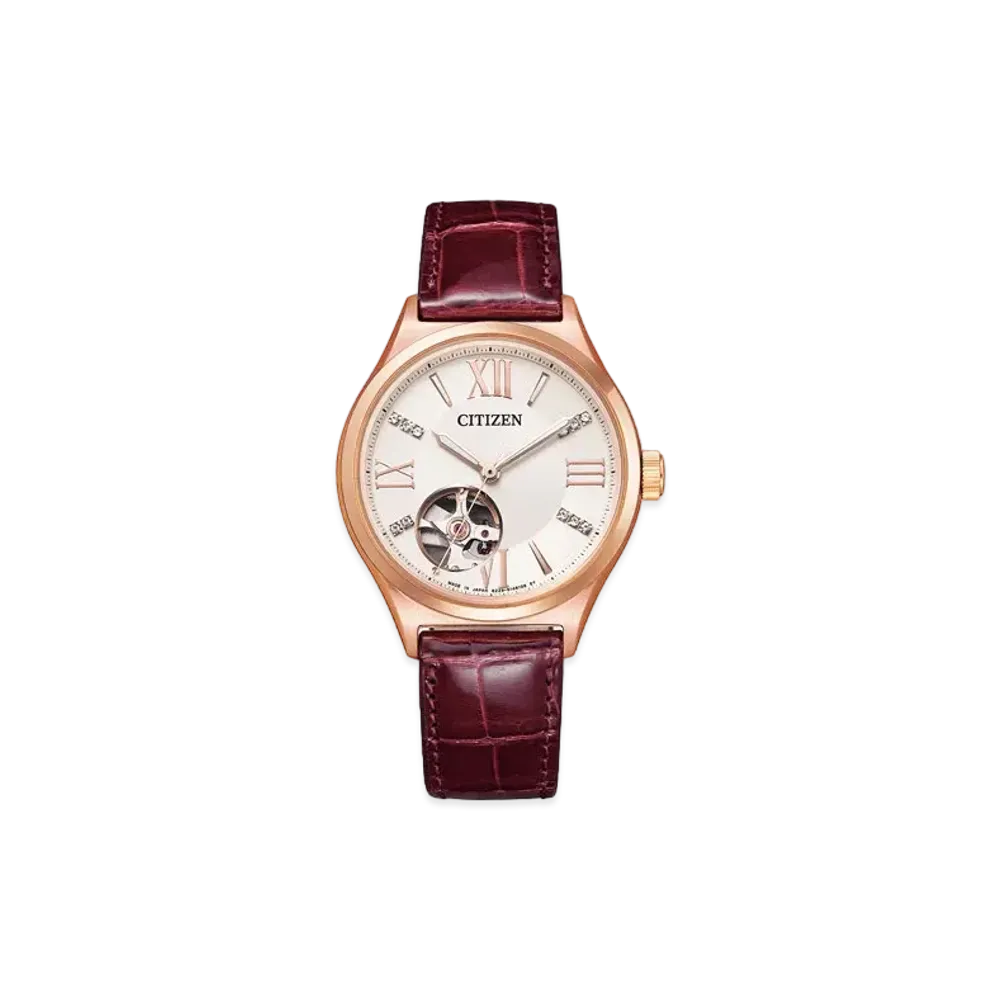 CITIZEN COLLECTION PC1002-00A
