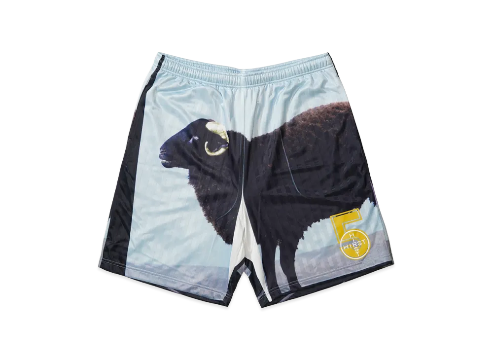 Supreme x Damien Hirst Soccer Short "Black"