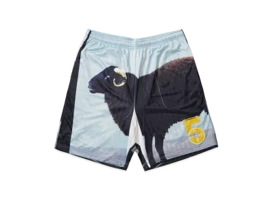 Supreme x Damien Hirst Soccer Short "Black"