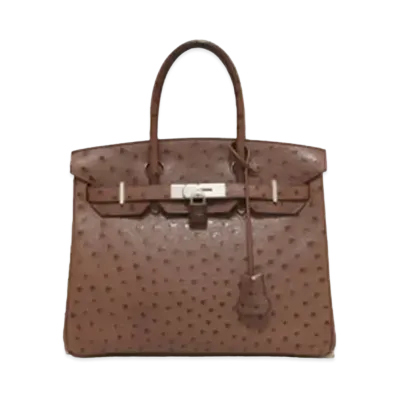 Hermes Birkin Ostrich "Chocolate/Silver"