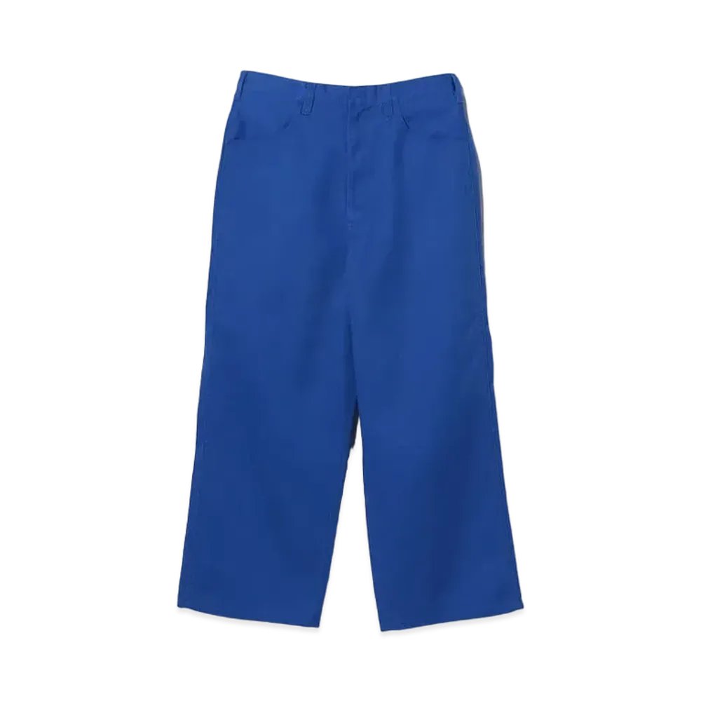 BEAMS FUTURE ARCHIVE x Dickies Exclusive Baggy Pants "Royal Blue"