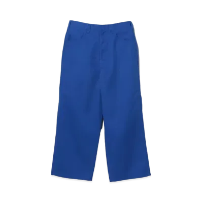 BEAMS FUTURE ARCHIVE x Dickies Exclusive Baggy Pants "Royal Blue"