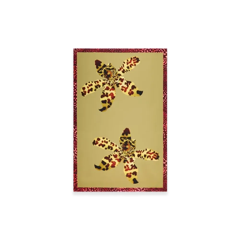 DRIES VAN NOTEN Women's Printed Pareo "Mustard"