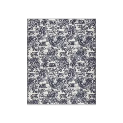 Dior Toile de Jouy Sauvage Stole Cashmere "White/Navy Blue"
