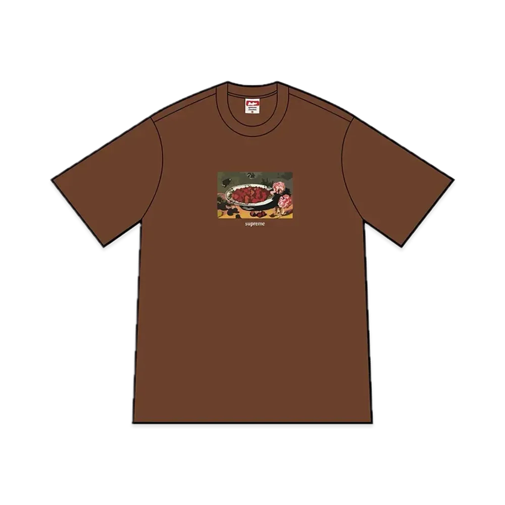 シュプリーム ストゥローバリ Tシャツ "ブラウン"