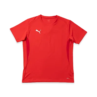 PUMA teamGOAL Multi Shirt "Puma Red"