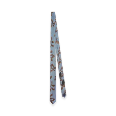 DRIES VAN NOTEN Printed Narrow Silk Tie "Blue"