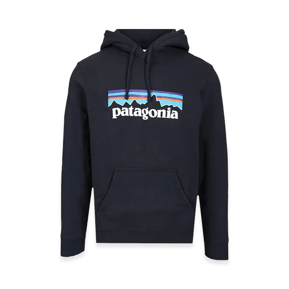 Patagonia Hoodie "Blue"
