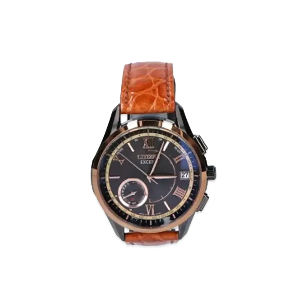 CITIZEN Exceed Eco-Drive Direct Flight 100th Anniversary Limited Model CC3054-04E