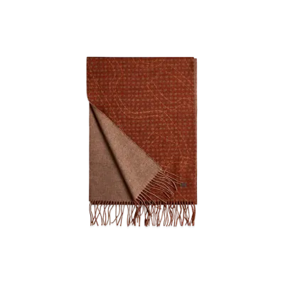 TOD'S Cashmere Blend Scarf "Brown"