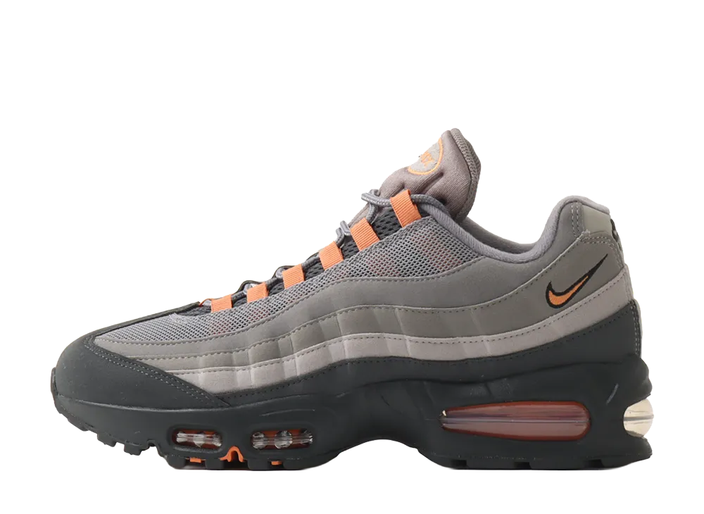 Nike Air Max 95 Big Bubble OG "Hot Curry"