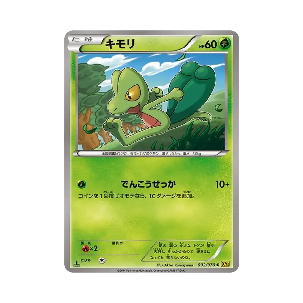キモリ C :1ED [XY5 003/070](拡張パック「ガイアボルケーノ」)