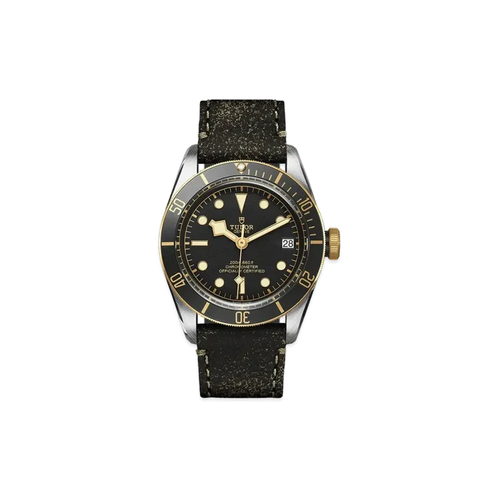 TUDOR BLACK BAY S&G