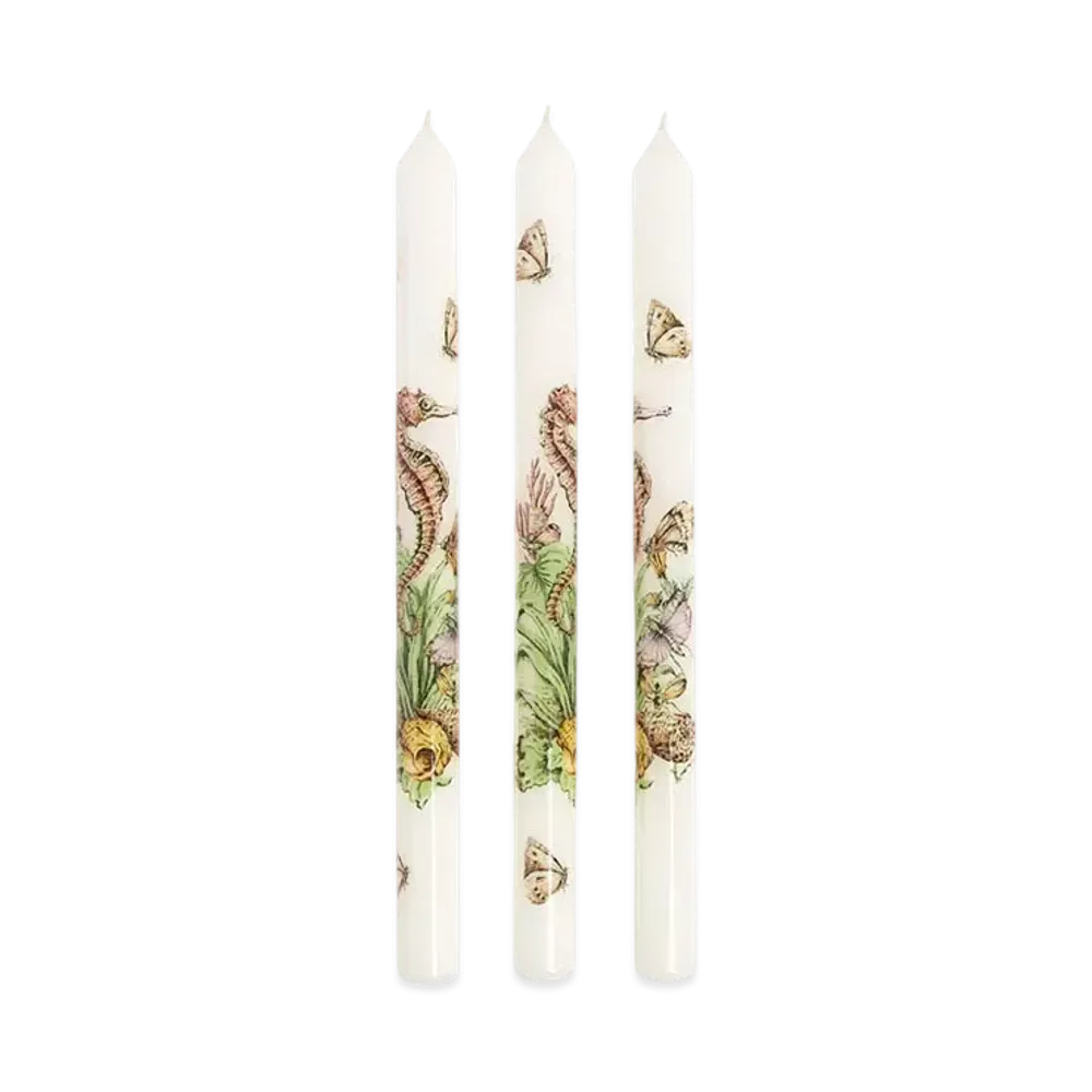 Dior Set of Three Tapered Candles Wax with Dior Cabinet de la Mer Motif "White/Multicolor"