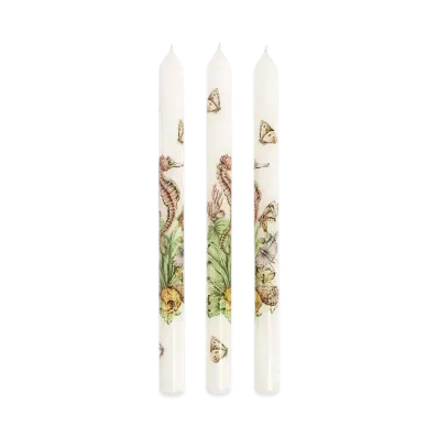 Dior Set of Three Tapered Candles Wax with Dior Cabinet de la Mer Motif "White/Multicolor"
