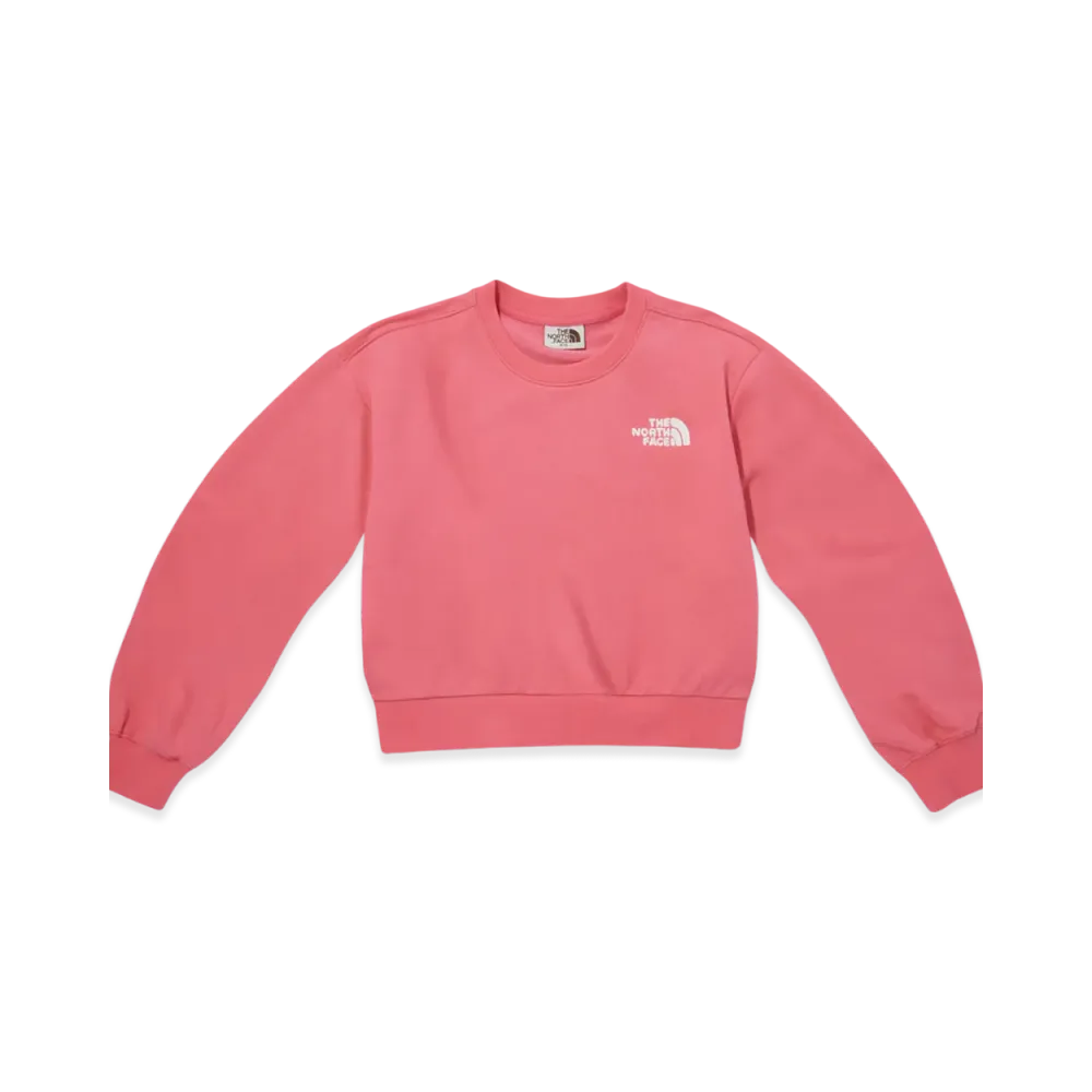 The North Face Comfy Sweatshirt (W) "Hot Pink"