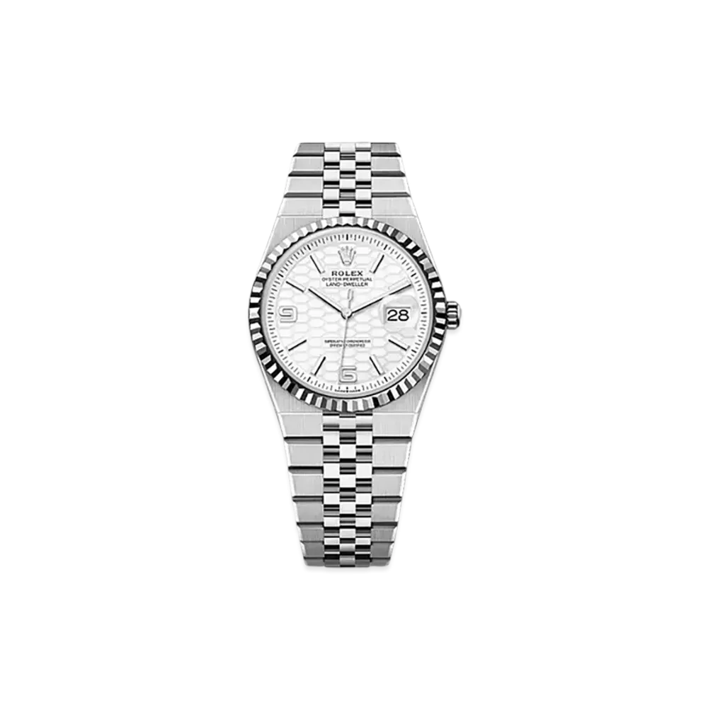 ROLEX Land-Dweller 36mm Oystersteel & White Gold 127234 "Intense White"