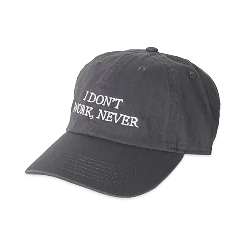 Do Nothing Congress "I DON’T WORK NEVER" "Gray"