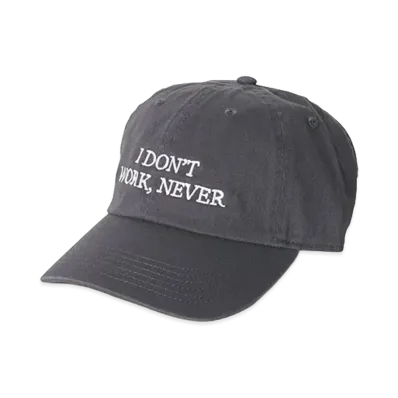 Do Nothing Congress "I DON’T WORK NEVER" "Gray"