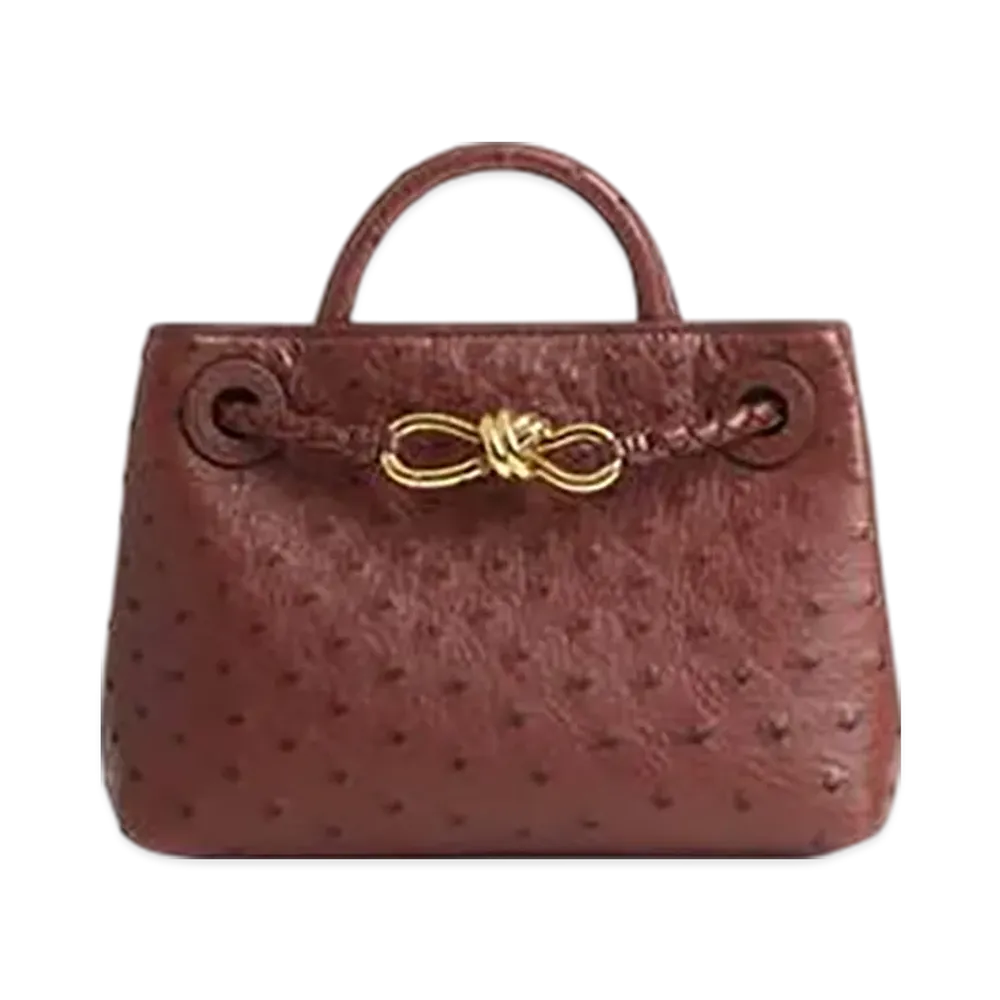 Bottega Veneta Mini Andiamo "Sapele"