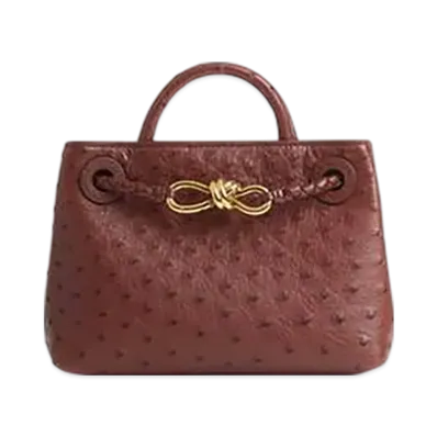 Bottega Veneta Mini Andiamo "Sapele"