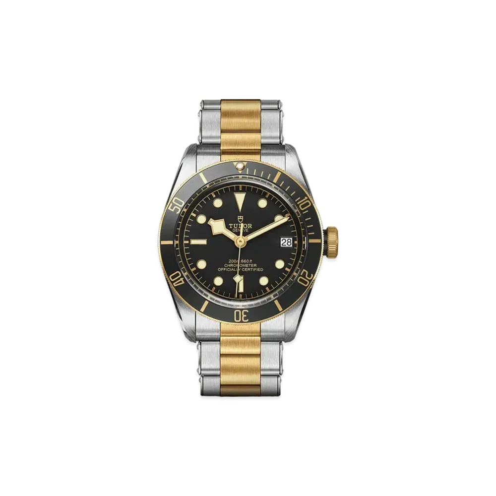 TUDOR BLACK BAY S&G