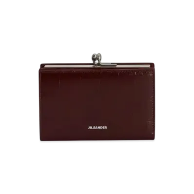 Jil Sander Goji Purse Small "Jasper"