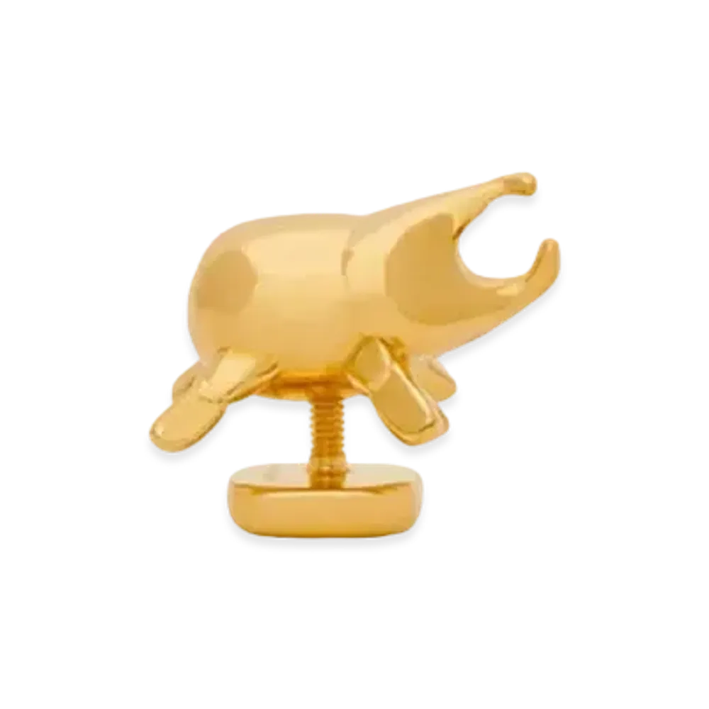 LOEWE Beetle Pin In Brass "Gold"