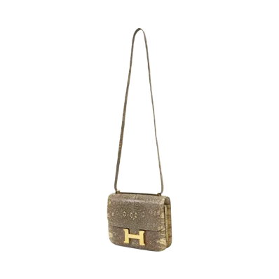 Hermes Constance Mini Ombre Lizard Gold Hardware(Y Stamp) "GOLD"