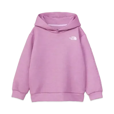 The North Face Tech Air Sweat Big Hoodie (Kids) "Dragon Fruit"