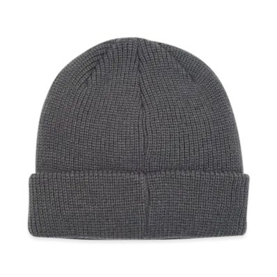 PALACE Flag Label Beanie "Grey"