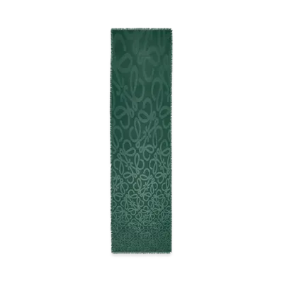LOEWE Scarf "Vetiver"