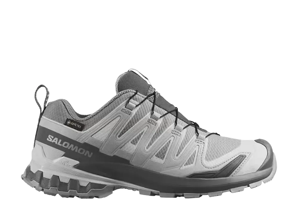 Salomon Women's XA Pro 3D V9 GORE-TEX "Alloy/Castlerock"