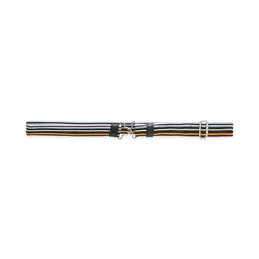 PRADA Women's Striped Clasp Buckle Belt "Multicolor"