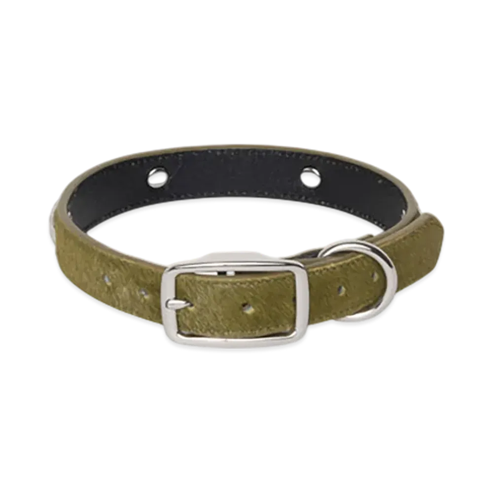 Stussy Studded Dog Collar "Hair Moss"