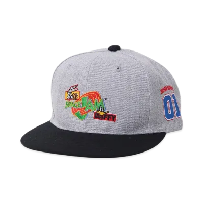 WIND AND SEA x SPACE JAM Cap "Gray"
