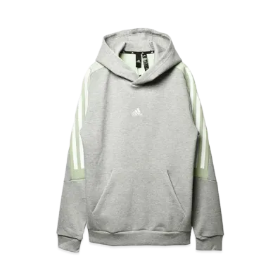 adidas Sportswear Future Icon Three Stripes Graphic Hoodie "Gray"