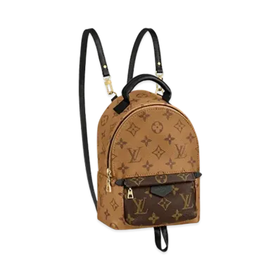 Louis Vuitton Monogram Reverse Palm Springs Mini