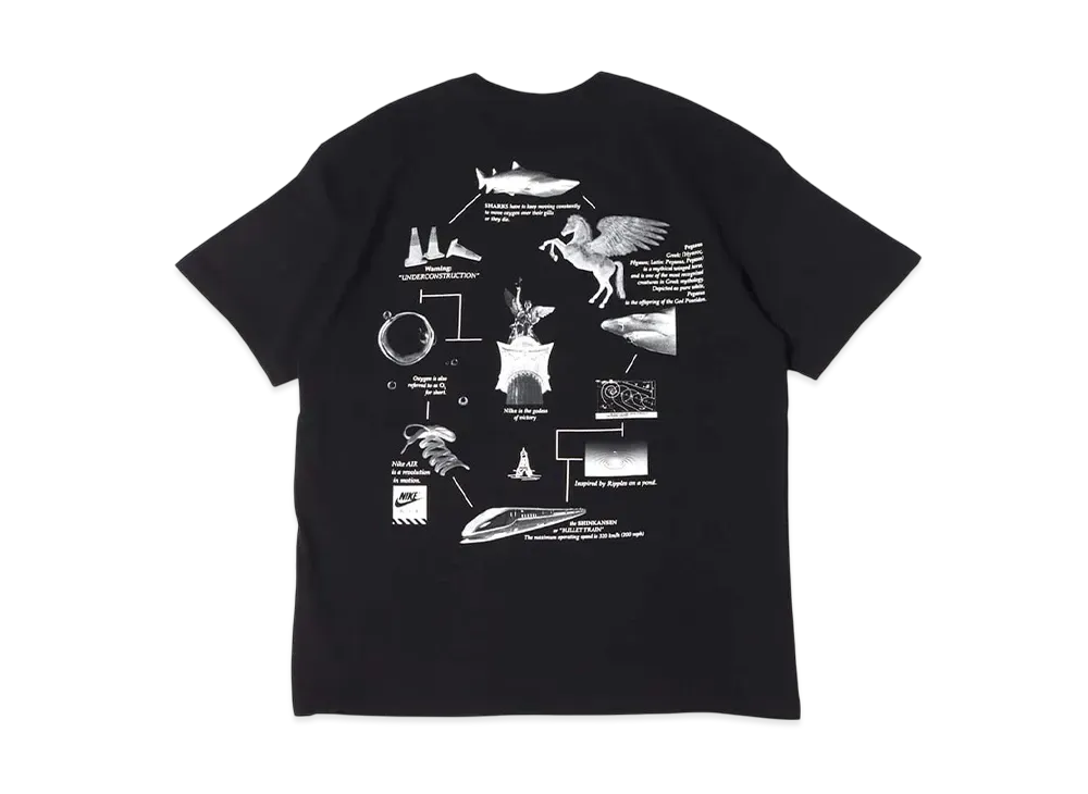 Nike AS M NK NRG Tee Pegasus "Black"